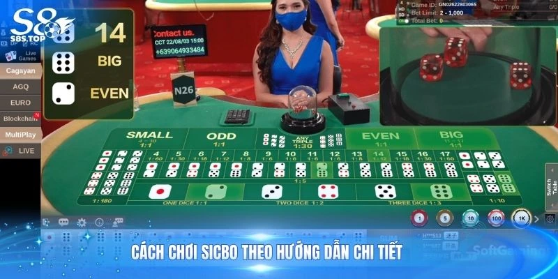 Cách chơi sicbo theo hướng dẫn chi tiết